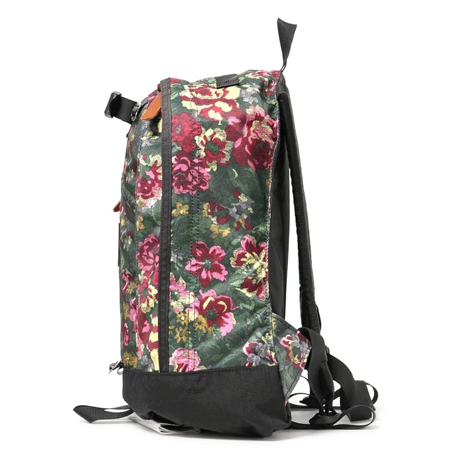 【値下げ】GREGORY FINEDAY デイパック Amazon.co.jp: Gregory Fineday V2 Backpack, 6.1 gal (18 L